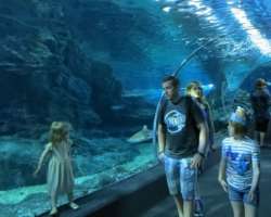 The park is home to Dunia Air Tawar which is on the second rank among the largest freshwater and brackish-themed aquarium throughout Asia. It is inhab